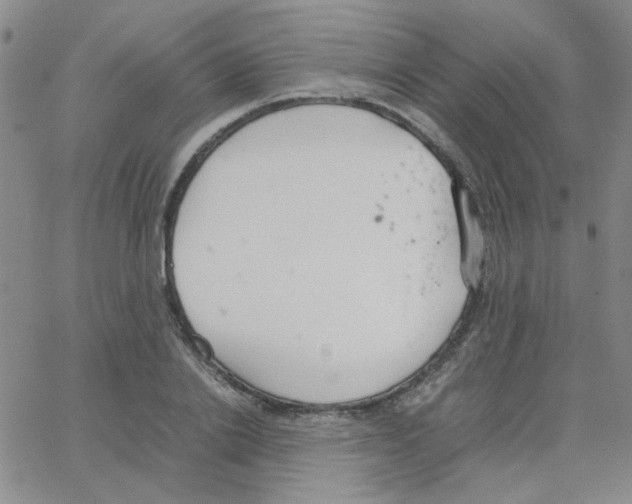 X0000064730838200603131251