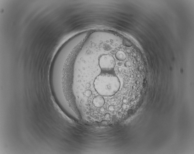 X0000064730839200603131251