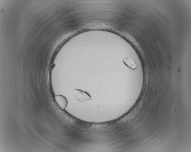 X0000064730840200603131251