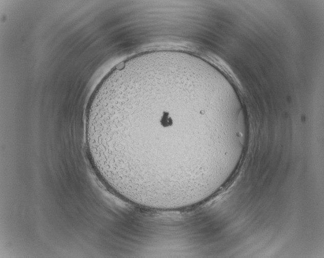 X0000064730844200603131251