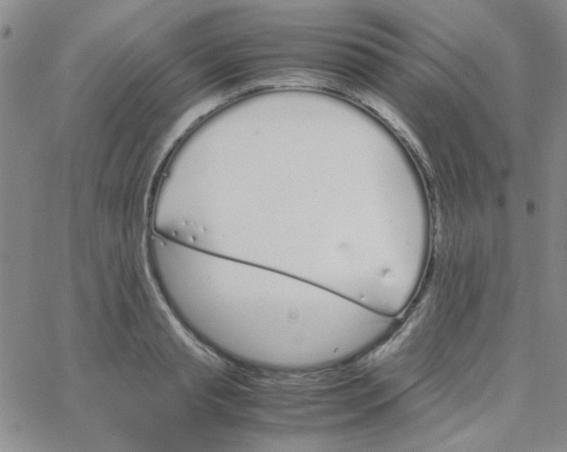 X0000064730845200603131251