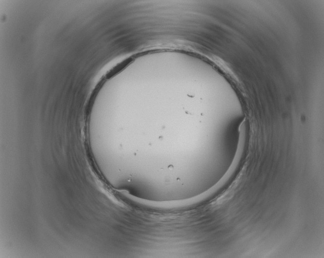 X0000064730846200603131251