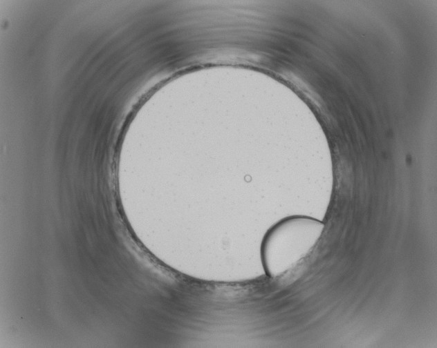 X0000064730848200603131251