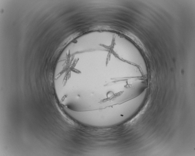 X0000064730849200603131251