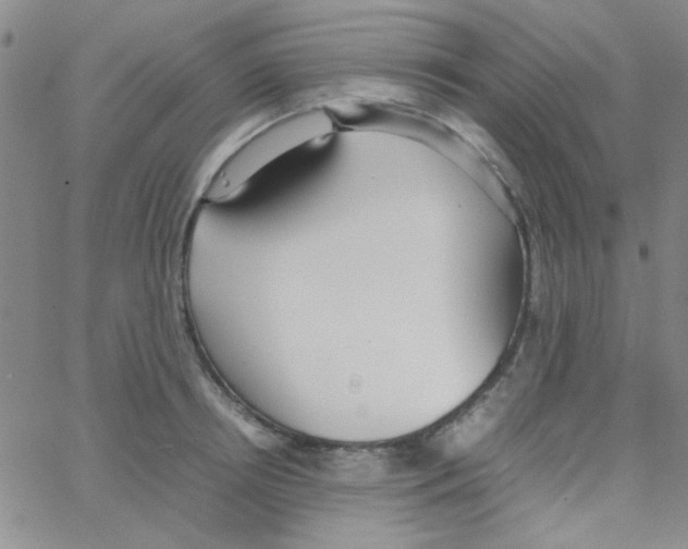 X0000064730850200603131251