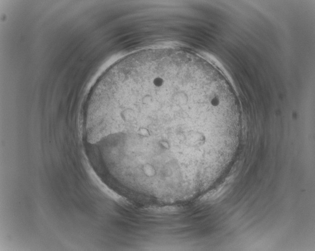 X0000064730851200603131251