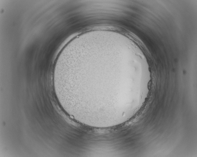 X0000064730852200603131251