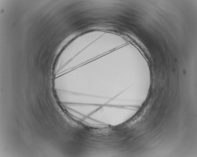 X0000064730853200603131251