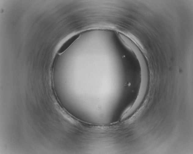 X0000064730854200603131251