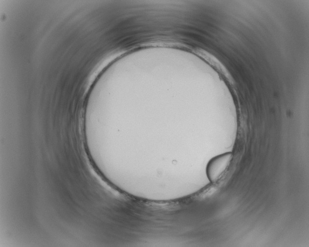 X0000064730855200603131251