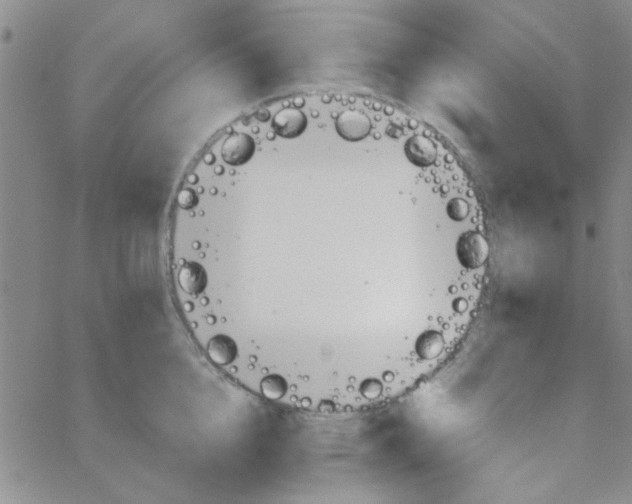 X0000064730856200603131251