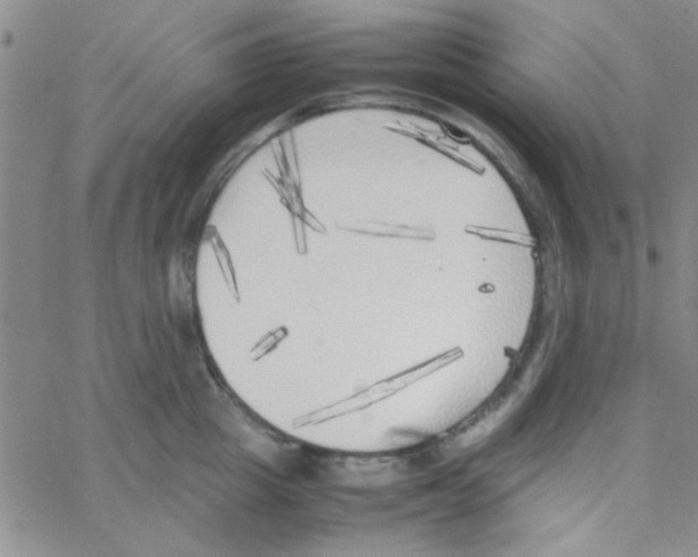 X0000064730857200603131251