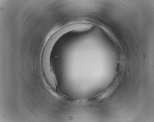 X0000064730858200603131251