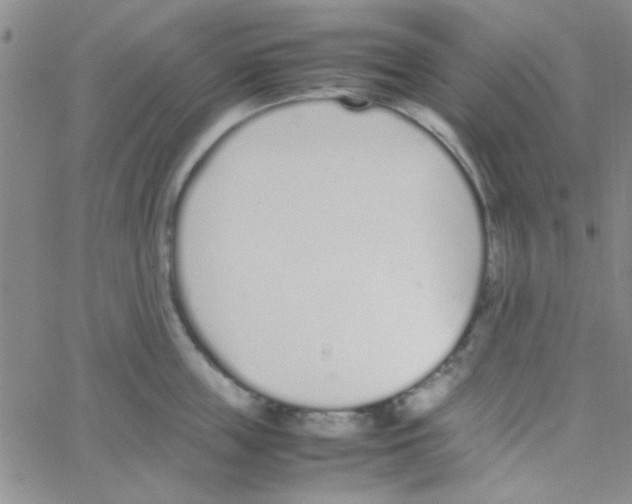 X0000064730859200603131251