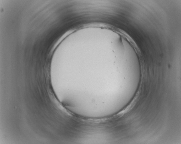 X0000064730860200603131251