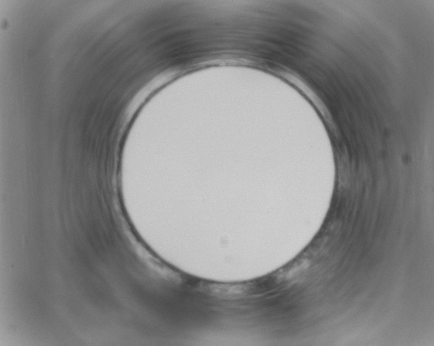 X0000064730861200603131251