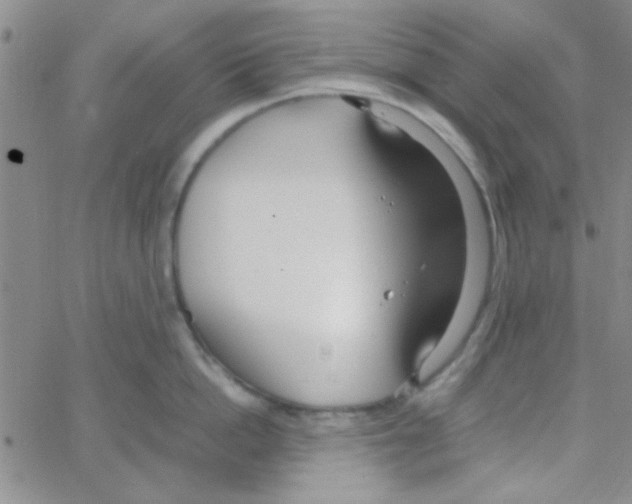 X0000064730862200603131251