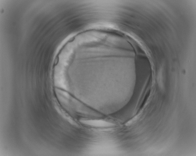 X0000064730864200603131251