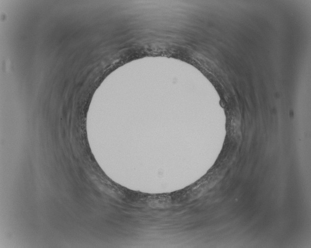 X0000064730865200603131251