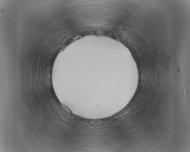 X0000064730868200603131251