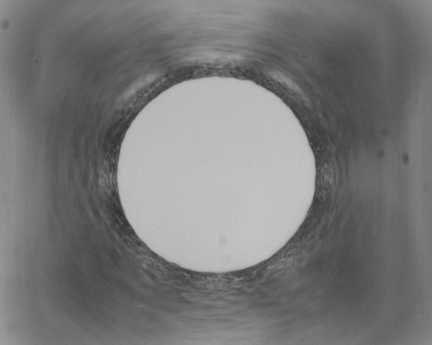 X0000064730869200603131251