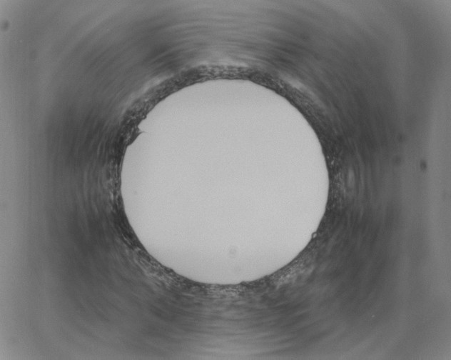 X0000064730870200603131251