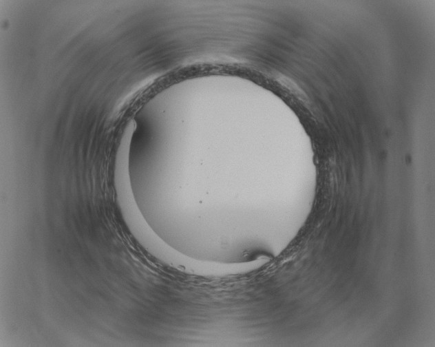 X0000064730872200603131251