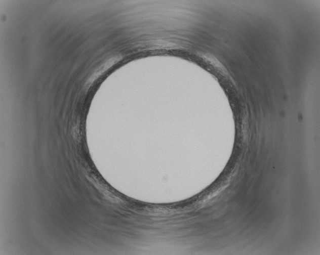 X0000064730873200603131251