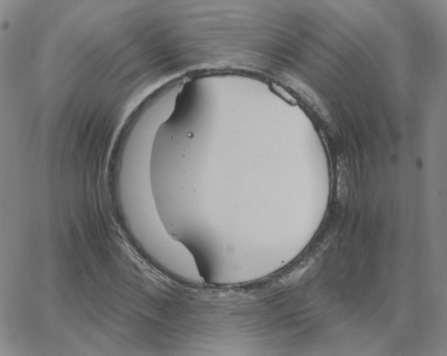 X0000064730876200603131250