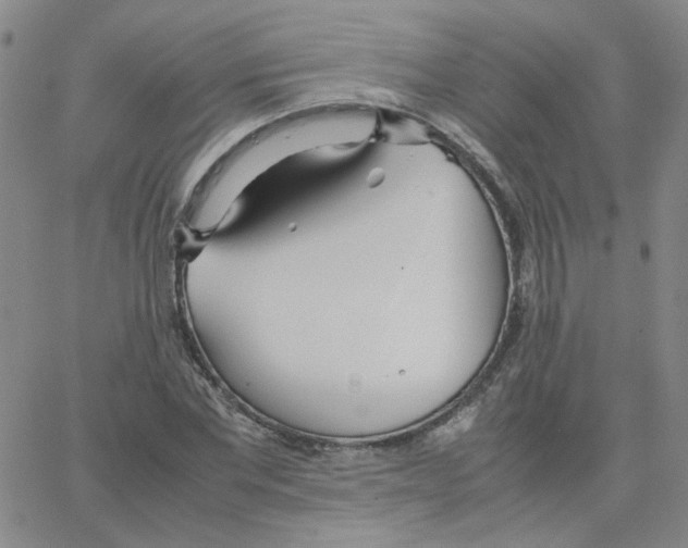 X0000064730877200603131250