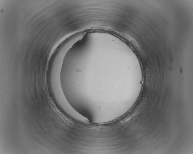 X0000064730880200603131250