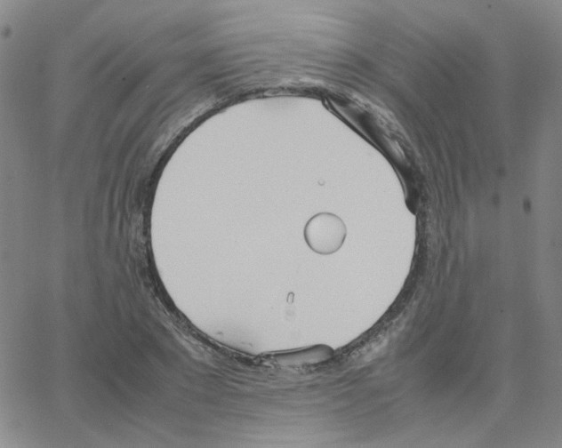 X0000064730881200603131250