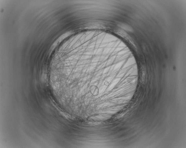 X0000064730882200603131250