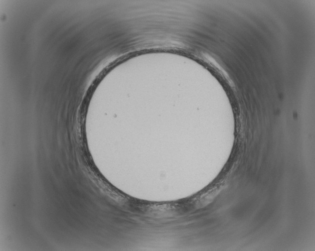 X0000064730883200603131250