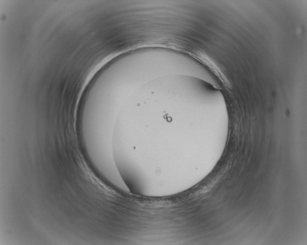 X0000064730884200603131250