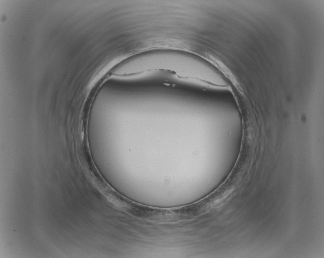 X0000064730885200603131250