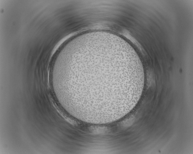 X0000064730886200603131250