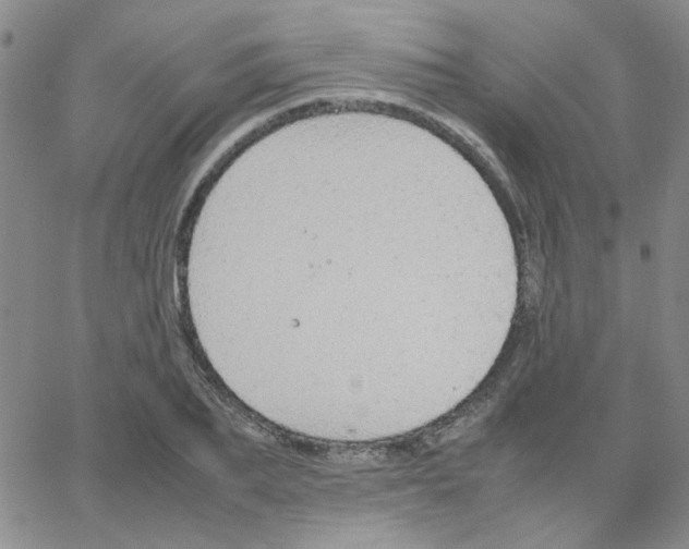 X0000064730887200603131250