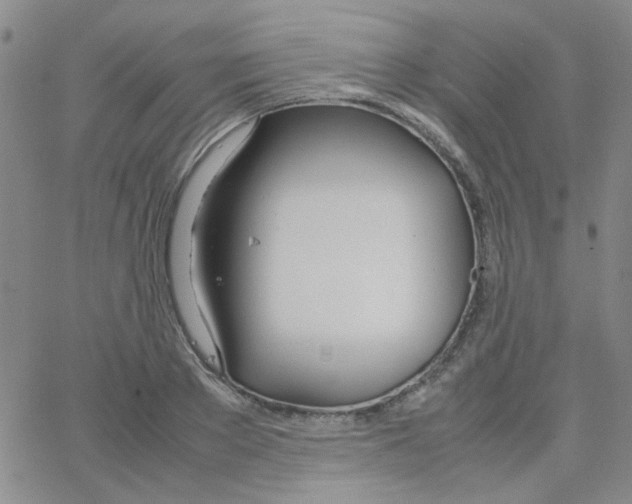 X0000064730889200603131250