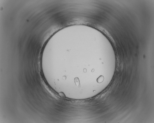 X0000064730890200603131250