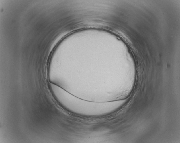 X0000064730891200603131250