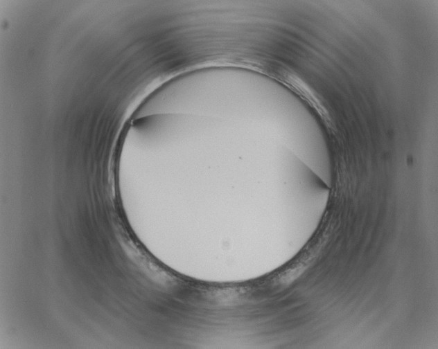 X0000064730892200603131250