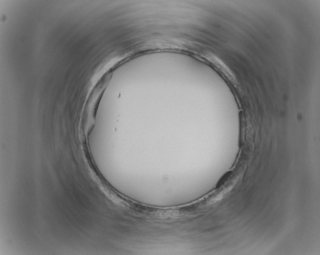 X0000064730893200603131250