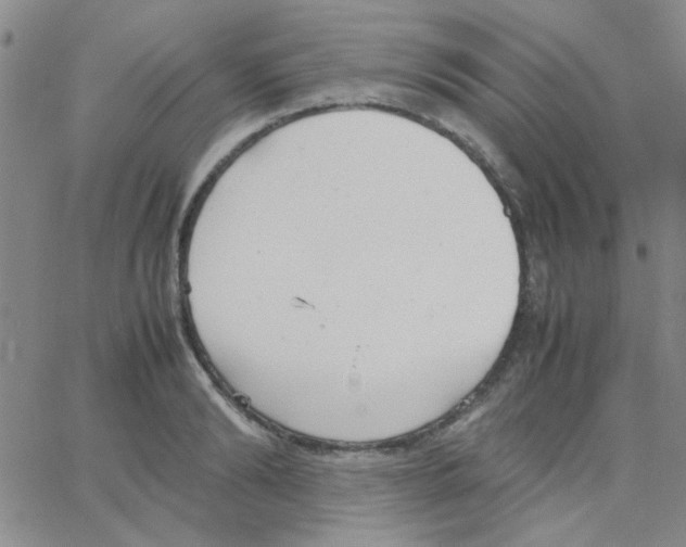 X0000064730894200603131250