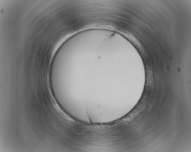 X0000064730896200603131250