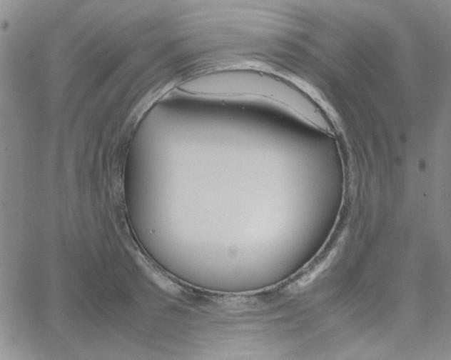 X0000064730897200603131250