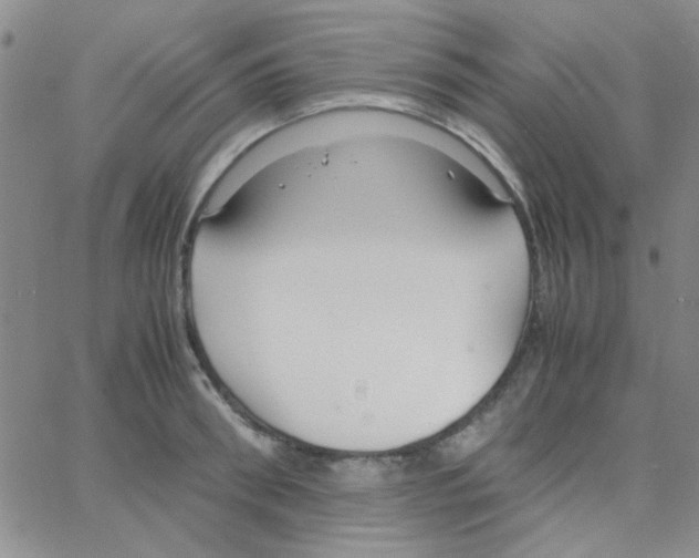 X0000064730898200603131250