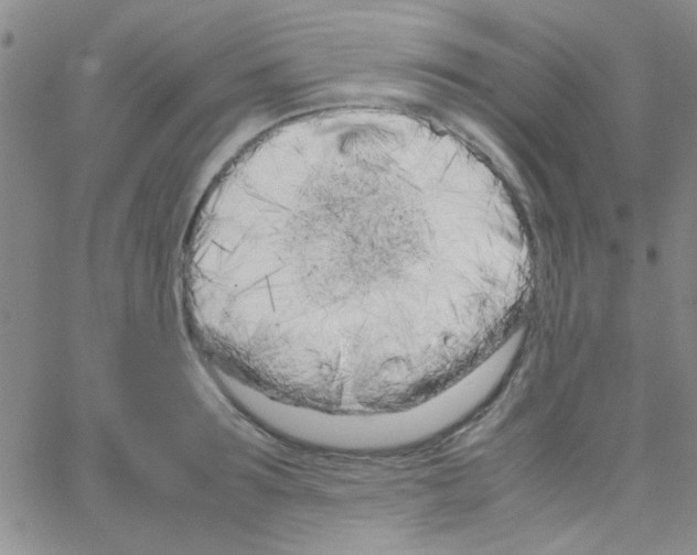 X0000064730899200603131250