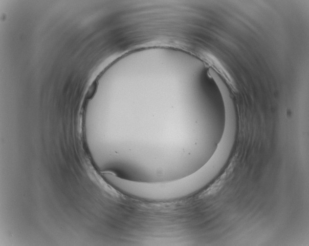 X0000064730900200603131250