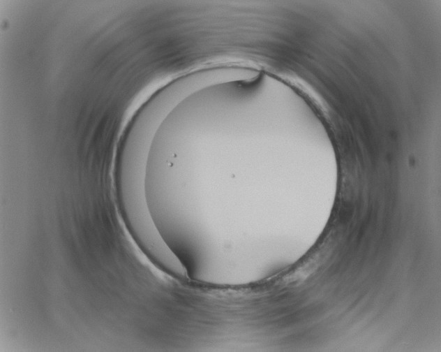 X0000064730902200603131250